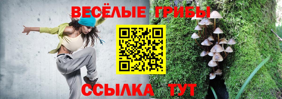 Краснодар  Галлюциногенные грибы MAGIC MUSHROOMS  Вход с VPN 